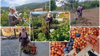 ÖZELİMLE İLGİLENMEYİN İNSANA FAYDALI MIYIM ONA BAKIN | YENGEM BAHÇE TURU ÜZÜM  ARIDAN NASIL KORUNUR?