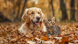 Relaxing Music to Prevent Boredom and Anxiety for Dog & Cat While You're Away - Music for Pets Happy