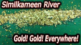 Fine gold EVERYWHERE! on the Similkameen river.