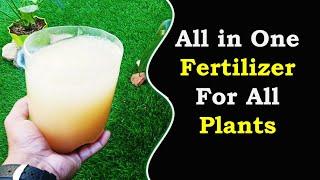 Organic fertilizer for plants