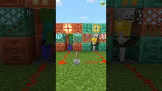 How to make Friends in Single Player #shorts #minecraft