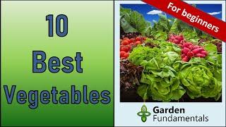 10 Best Vegetables to Grow for New Gardeners 10 complete videos - one for each vegetable