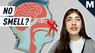 Everything You Need to Know About Anosmia, The Weirdest COVID Symptom | Mashable Explains