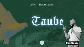 Taube | Ben Gauss | Kirche im Brauhaus | Gifhorn