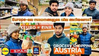 Europe-ലെ സാധനങ്ങളുടെ വില Grocery Shopping in Europe Austria Malayalam | Living Cost | Mallu Vlog