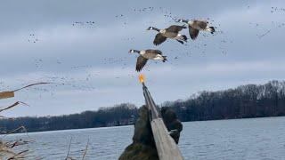 GOOSE Hunting Opener Water A-FRAME | SUB FREEZING | W/ Unexpected MALLARD Mixed Bag!