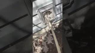 Watch this “No way” About to make a pillow out of this linen Dryer vent cleaning in Chicago