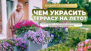 Чем украсить террасу на лето? Ассортимент устойчивых однолетников и нестандартных сочетаний.