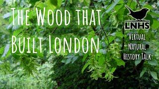 The Wood that Built London