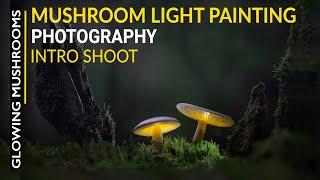 Mushroom Light Painting Photography - intro shoot