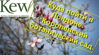 18. Куда пойти в Лондоне. Королевский ботанический сад Kew Gardens.