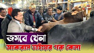 আকরাম ভাইয়ের গরু কেনার স্টাইল একটু অন্যরকম! ধুমধাম দামাদামি টানাটানি এরপর হয়ে গেল!!