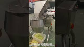 VERFOODSOLUTIONS Zucchini Carrots Striping Root Vegetable Slice Strip Cutting Machine