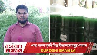 শেরে বাংলা কৃষি বিশ্ব বিদ্যালয়ে সমুদ্র শৈবালের গুরুত্ব | রূপসী বাংলা | Ruposhi Bangla | Episode-75