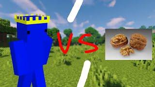 Official Jettism VS WesternWalnut Donut SMP Duels