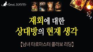 [타로/연애운] 재회에 대한 상대방의 생각과 입장