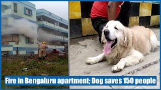 Fire in Bengaluru apartment; Dog saves 150 people