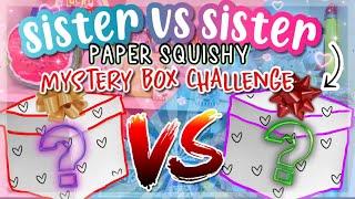 SISTER VS SISTER PAPER SQUISHY MYSTERY BOX VALENTINES DAY EXCHANGE