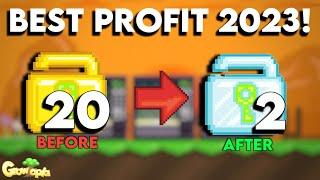 HOW TO PROFIT WITH 20 WL!!! BEST PROFIT 2023 | GrowTopia Profit