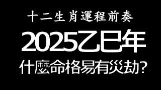 2025年要注意的年生八字 生肖運程前奏| 反吟伏吟 天剋地沖 乙巳 辛亥 己亥| 劉鎮鋒生活頻道