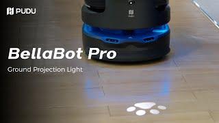 Floor Projections: BellaBot Pro’s Paws for Safety! | Pudu Robotics