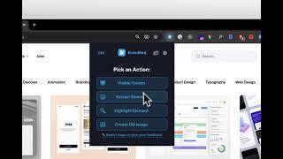 BrandBird Chrome Extension - Highlight an element