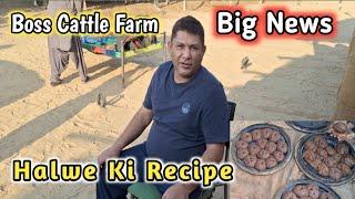 Special Halwe Ki Recipe  | Big News Of Boss Cattle Farm  ||