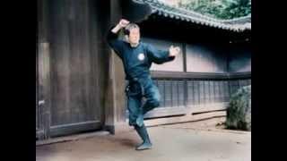 Ninjutsu Grand Master Masaaki Hatsumi in Action Pt. 12