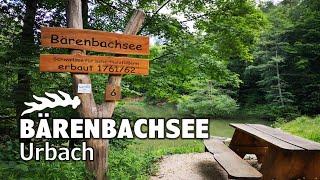 Der Bärenbachsee - Rastmöglichkeit mitten im Wald | Urbach | Kurzbericht | Ausflugsziel