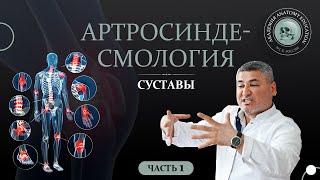 Артросиндесмология. Суставы часть 1 / ARTHROSYNDESMOLOGIA