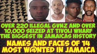 The Biggest GvN Seizure In Jamaica's History Over 220 Illegal GvNz & Over 10,000 Rds Seized @ Wharf
