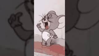 Jerry hungry meme #tomandjerry #hungry #memes #Jerrymemes #cute #