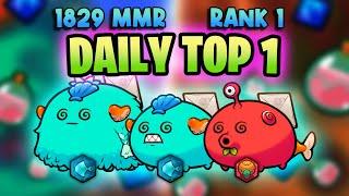 ⭐DAILY TOP 1⭐ feat: METAT8 | Shoe | ORIGIN LEADERBOARDS | AXIE INFINITY