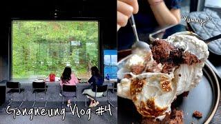  한국 Vlog | 강릉 맛집 어디까지 가봤니? :) 강릉 여행 오시면 여기도 꼭꼭 들러 보세요  | 교동당 | 스페이스 페로몬 | 그 외 소소한 임산부 강릉 일상