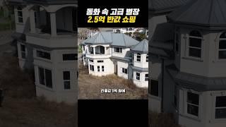 '땅값보다 싼' 유럽풍 고급 별장 전원주택 2.5억 반값 쇼핑 #shorts