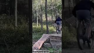 Wild Backyard MTB Build 