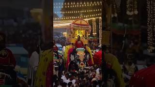 #jamboosavari #mysoredussehra jamboo Savari whatsapp status |mysore dussehra 2024