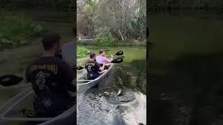 Clear kayak adventure in central Florida near Orlando