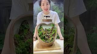 Moss growing Bonsai  Moss Micro Landscape bonsai art苔藓微景观《nana》works welcome to subscribe #shorts