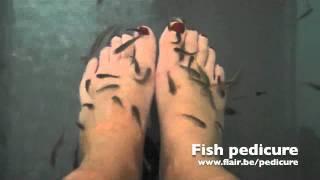 Flair: Fish pedicure