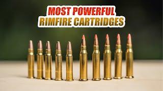 5 Most Powerful Rimfire Cartridges in the World