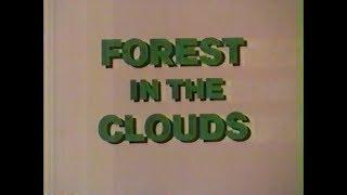 Forest in the Clouds (1984)