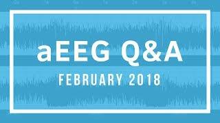 How to read neonatal aEEG - LIVE Q&A with Kathi Randall, NNP