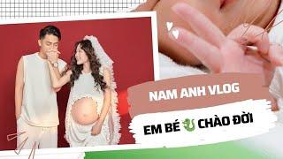 Nam Anh Vlogs | Em Bé Rồng Diamond Chào Đời