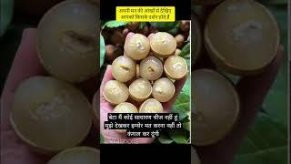 माता रानी का प्रसाद अनदेखा न करे #matarani #durgapuja #durgamaa