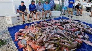 American Patriot Sportfishing, 3 Day Dry Tortugas Trip