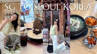 SG TO SEOUL KOREA: ultimate hongdae anguk shopping guide, what to do, famous ginseng chicken  [VLOG]