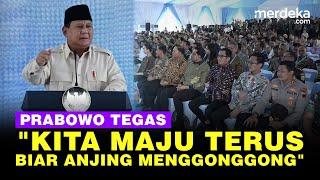 Tegas Prabowo Tak Peduli Dijatuhkan: Kita Maju Terus Biar Anjing Menggonggong