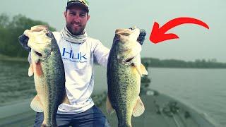 Start FINDING Bass FASTER Than Your Friends (Bass Fishing Tips)