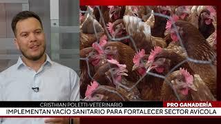 Implementan vacío sanitario para fortalecer sector avícola